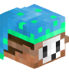 SnrShandy