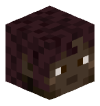 xletaskok