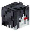 kyorze